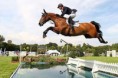 /album/galerie-photos/chevaux-5-jpg/